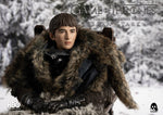 Game of Thrones
1/6 Bran Stark (Standard edition)