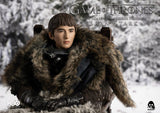 Game of Thrones
1/6 Bran Stark (Standard edition)