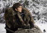 Game of Thrones
1/6 Bran Stark (Standard edition)