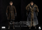 Game of Thrones
1/6 Bran Stark (Standard edition)