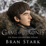 Game of Thrones
1/6 Bran Stark (Standard edition)