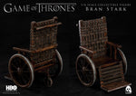 Game of Thrones
1/6 Bran Stark (Standard edition)