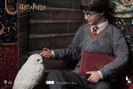 INART Harry Potter and the Philosopher’ s Stone -Harry Potter Hogwarts Uniform 1/6 (Premium Version)