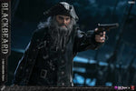 (PRE ORDER) TGTOYS × SWTOYS：1/6 Blackbeard TG8015