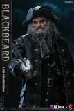 (PRE ORDER) TGTOYS × SWTOYS：1/6 Blackbeard TG8015