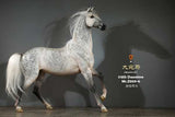 (RE ORDER) MR.Z 1/6 animal model MR.Z059-567