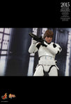 Hot Toys: Star Wars: Luke Skywalker Storm Trooper Exclusive