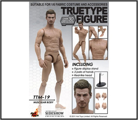 Hot Toys: True Type Body Male TTM19