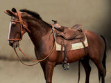 Star Ace James Dean Cowboy Horse 1/6 Scale SA0088C