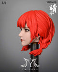 (RE ORDER) YMTOYS 1/6 YMT061B  (Headsculpt)