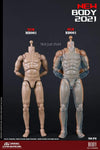 (RE ORDER) COOMODEL 1/6 NEW TYPE STANDARD MALE BODY