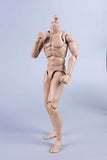 (RE ORDER) COOMODEL 1/6 NEW TYPE STANDARD MALE BODY