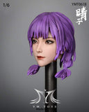 (RE ORDER) YMTOYS 1/6 YMT061B  (Headsculpt)