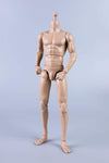 (RE ORDER) COOMODEL 1/6 NEW TYPE STANDARD MALE BODY