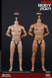 (RE ORDER) COOMODEL 1/6 NEW TYPE STANDARD MALE BODY