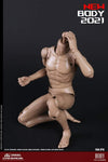 (RE ORDER) COOMODEL 1/6 NEW TYPE STANDARD MALE BODY