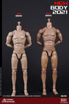 (RE ORDER) COOMODEL 1/6 NEW TYPE STANDARD MALE BODY