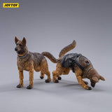 JOY TOYS JT0033 1/18 Military Dog