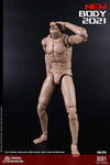 (RE ORDER) COOMODEL 1/6 NEW TYPE STANDARD MALE BODY