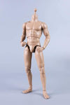 (RE ORDER) COOMODEL 1/6 NEW TYPE STANDARD MALE BODY