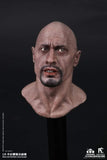 COOMODEL X CHENTOYS 1/6 SILICA GEL REALISTIC HEAD SCULPT SG001