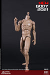 (RE ORDER) COOMODEL 1/6 NEW TYPE STANDARD MALE BODY