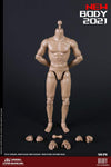 (RE ORDER) COOMODEL 1/6 NEW TYPE STANDARD MALE BODY