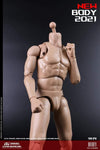 (RE ORDER) COOMODEL 1/6 NEW TYPE STANDARD MALE BODY