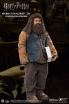 Star Ace Harry Potter and the Sorcerer's Stone Rubeus Hagrid (2.0) 1/6 Scale Figure