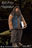 Star Ace Harry Potter and the Sorcerer's Stone Rubeus Hagrid (2.0) 1/6 Scale Figure