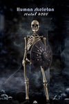 COOMODEL BS011 1/6 THE HUMAN SKELETON (DIECAST ALLOY)