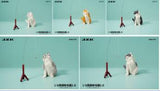 (WAITLIST) JXK 1/6 British Shorthair 2.0 JXK127ABCDE