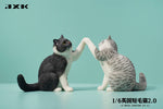 (WAITLIST) JXK 1/6 British Shorthair 2.0 JXK127ABCDE