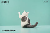 (WAITLIST) JXK 1/6 British Shorthair 2.0 JXK127ABCDE