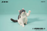 (WAITLIST) JXK 1/6 British Shorthair 2.0 JXK127ABCDE