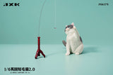 (WAITLIST) JXK 1/6 British Shorthair 2.0 JXK127ABCDE