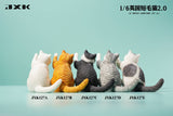 (WAITLIST) JXK 1/6 British Shorthair 2.0 JXK127ABCDE