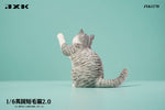 (WAITLIST) JXK 1/6 British Shorthair 2.0 JXK127ABCDE