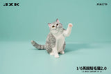 (WAITLIST) JXK 1/6 British Shorthair 2.0 JXK127ABCDE