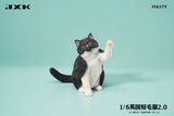 (WAITLIST) JXK 1/6 British Shorthair 2.0 JXK127ABCDE