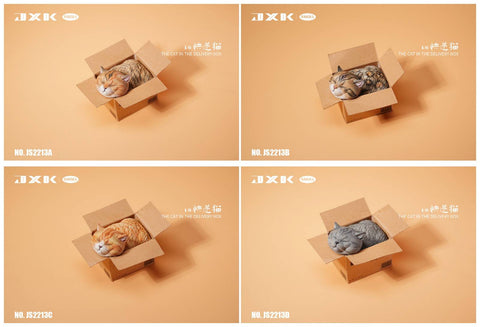 (WAITLIST) JXK small 1/6 The Cat In The Delivery Box JS2213AC  