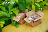 (WAITLIST) JXK small 1/6 The Cat In The Delivery Box JS2213AC  